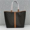 celine medium cabas in triomphe canvas